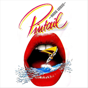 Funboard, Speedboard