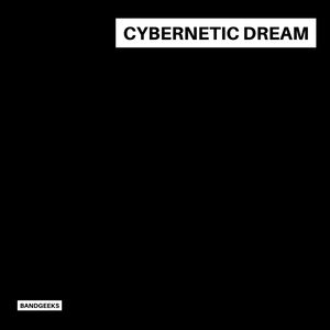 Cybernetic Dream