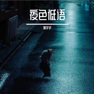 夜色低语