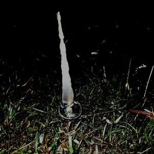 gaze raking