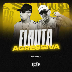 Flauta Agressiva