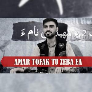 Amar Tofak Thu Zeba ea
