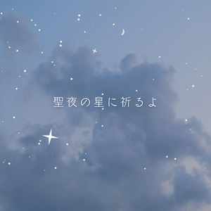 聖夜の星に祈るよ