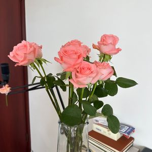 摇到了下午两点（prod by chillen）