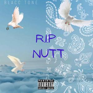 R.i.p nutt