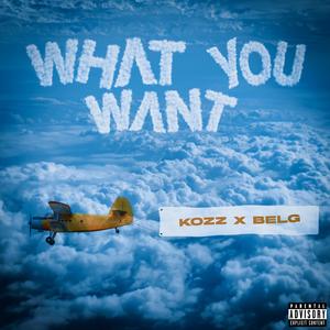 What you want