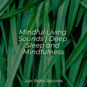 Lullaby of the Atmosphere