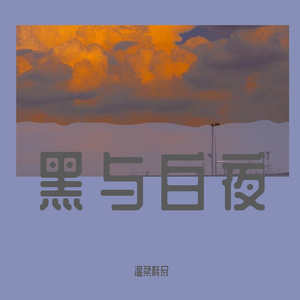 黑与白夜