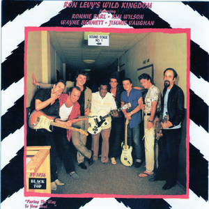 Must Have Missed a Turn Somewhere (feat. Jimmie Vaughan & Kim Wilson)