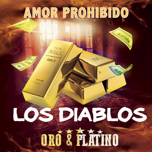 Oro & Platino (Amor Prohibido)