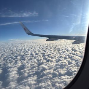 我的城市没有你