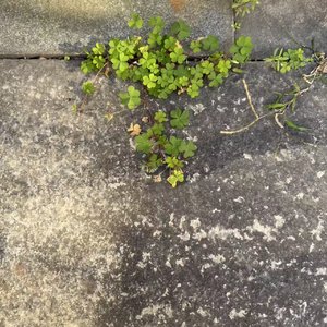 不想考了想解脱