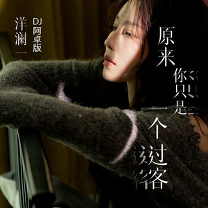 原来你只是一个过客(DJ版)