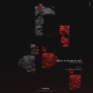 Intrertwined (Original Mix)