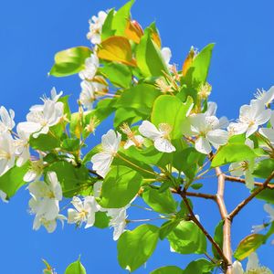 浪花的泡沫（纯音乐）