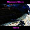 tezca - Mountain Ghost