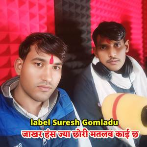 जाकर हंस ज्या छोरी मतलब काई छ थारो