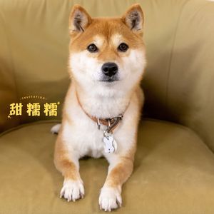 娇滴滴 (尤克里里)