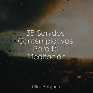 Perfección Después Del Anochecer