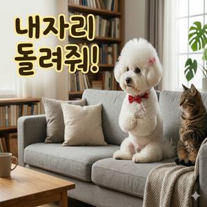 내 자리 돌려줘!