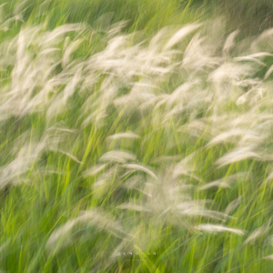 힘들 때 듣는 노래