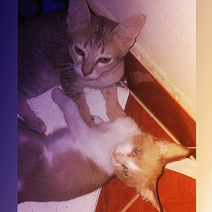 เธอกลับมาตอบคำถามผมก่อน