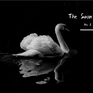 The Swan (Violin Solo)（翻自 Camille Saint-Saëns）