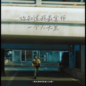 你知道我最害怕一个人天黑 - R&B氛围男版