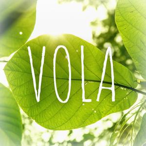 Vola