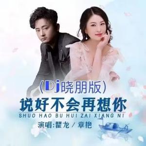 说好不会再想你（ DJ版）