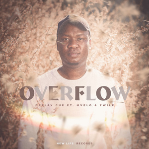Overflow (Radio-Edit)