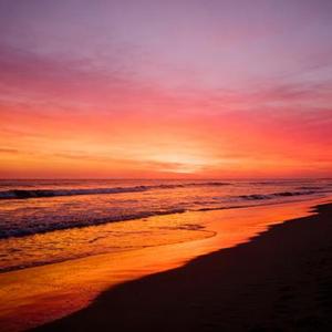 就是爱你 (Cover 阿磊)