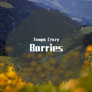 Free ''Barries'' trap beat