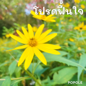 โปรดฟื้นใจ