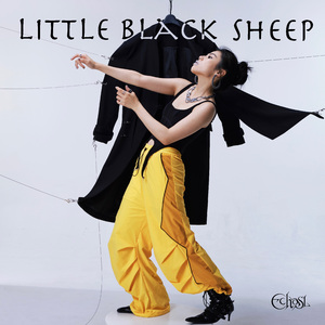 Little Black Sheep (小黑羊/害群之马)