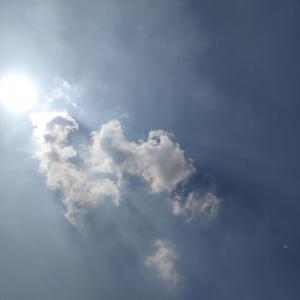 等风 （早期版本）