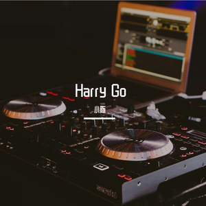 The Runner (Harry Go)