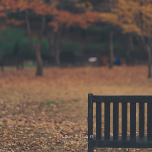 겨울이 오는 소리