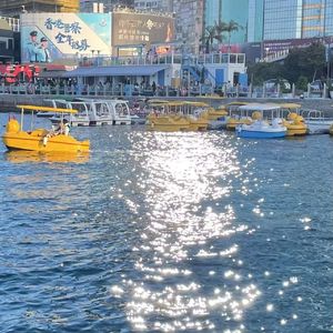 我觉得自由I feel free