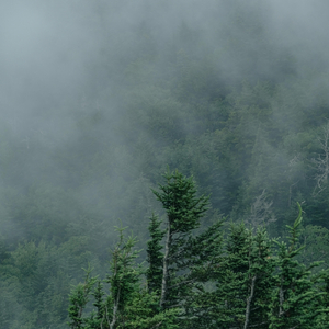 An Ocean (Ambient Sleep)