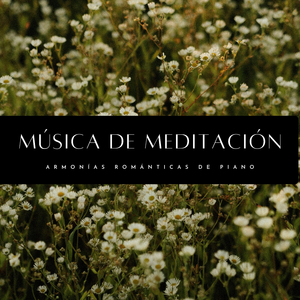 Reconfortantes Acordes De Piano