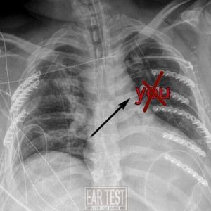 下一个不该被爱的人是你