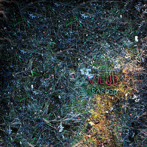 Girl, You Must Pay the U-Bahn (Live At Lamosa)