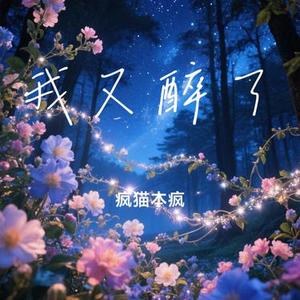 我又醉了