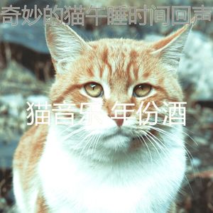 柔和的猫午睡时间时刻