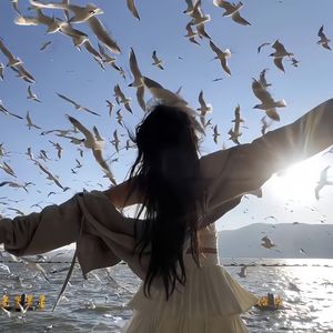 飞驰人生进行曲3