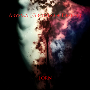 Torn