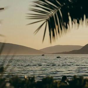 尺素迟(宿命版)