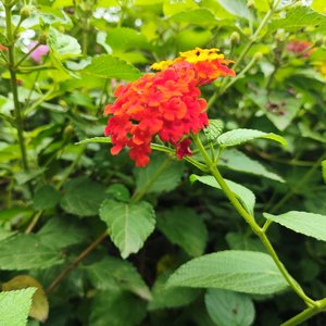 WAV文件_长路清醒