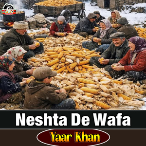 Neshta De Wafa